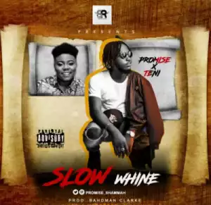 Promise - Slow Whine(Prod. By Bahdman Clarke) FT Teni